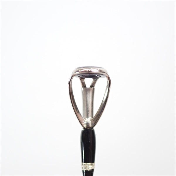 アーリー９９ＥＲＹ－９９ＭＬ